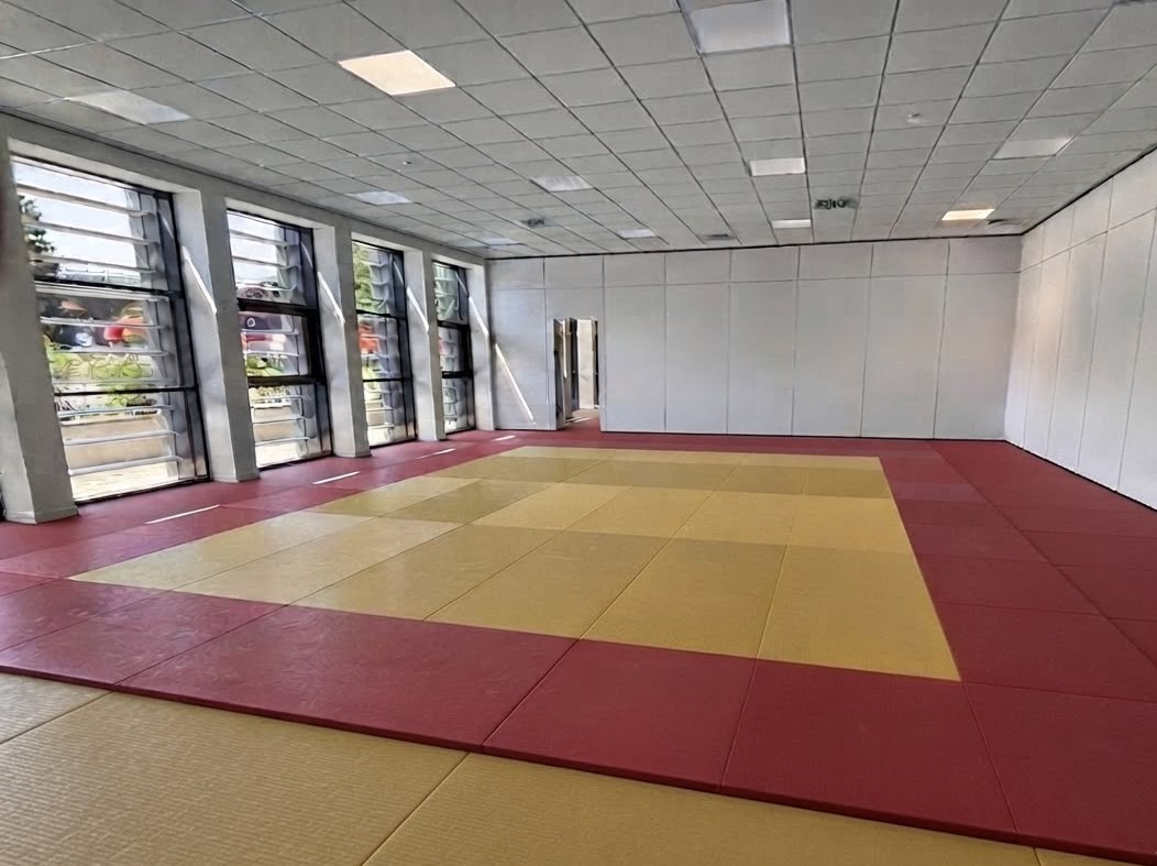 Palestra Tatami Lido Manazzon